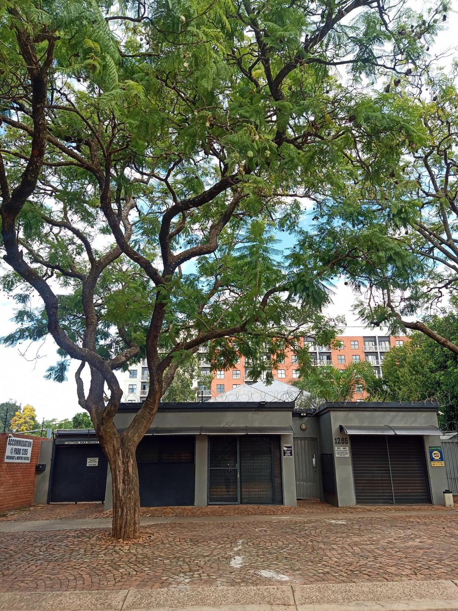 Accommodation@Park1285 Pretoria-Noord Buitenkant foto